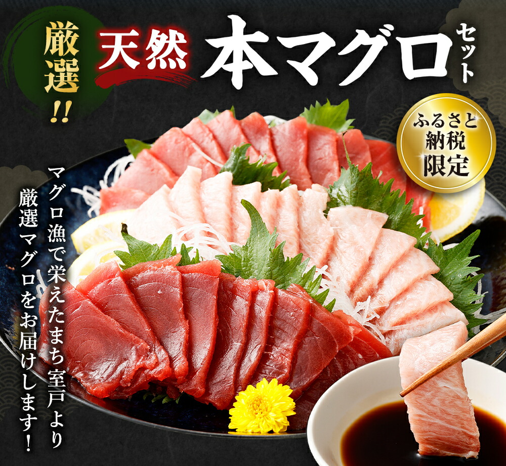 【ふるさと納税】 【コロナ緊急支援品】 厳選天然本マグロ 中トロ・赤身 食べ比べセット 合計約600g (中トロ約200g・赤身約400g) ふるさと納税限定 魚 惣菜 まぐろ 刺身 お刺し身 鮪 魚介 ちらし寿司 高知県 手巻き寿司 訳あり 海鮮丼 漬け丼 冷凍 送料無料