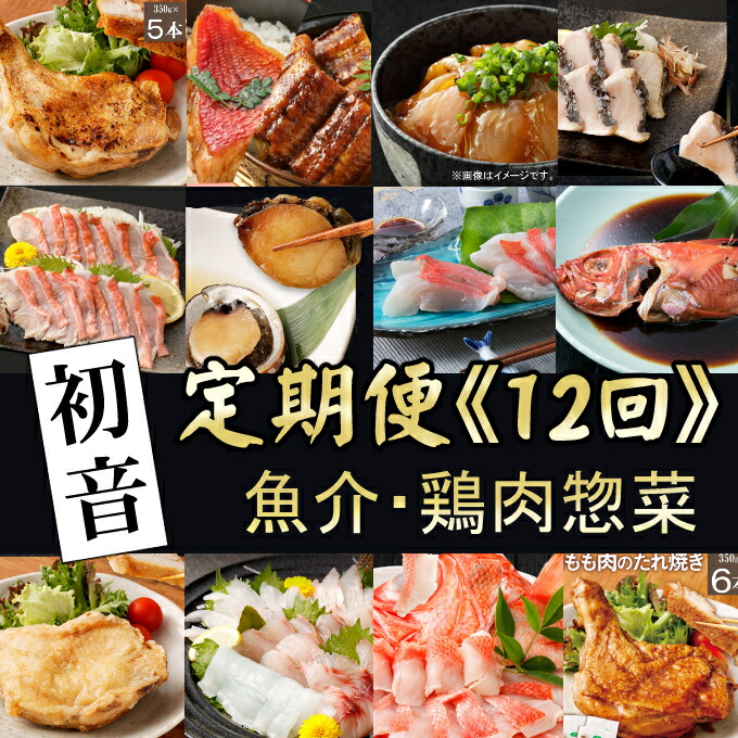 【ふるさと納税】 初音の毎月お届け！定期便 冷凍 調理済み 時短 湯せん お弁当 個包装 惣菜 小分け 子供 簡単調理 お取り寄せ 人気 湯煎 お湯ぽちゃ レトルト 温めるだけ 和食 洋食 料理 おかず バラエティ 頒布会 高知県 室戸市