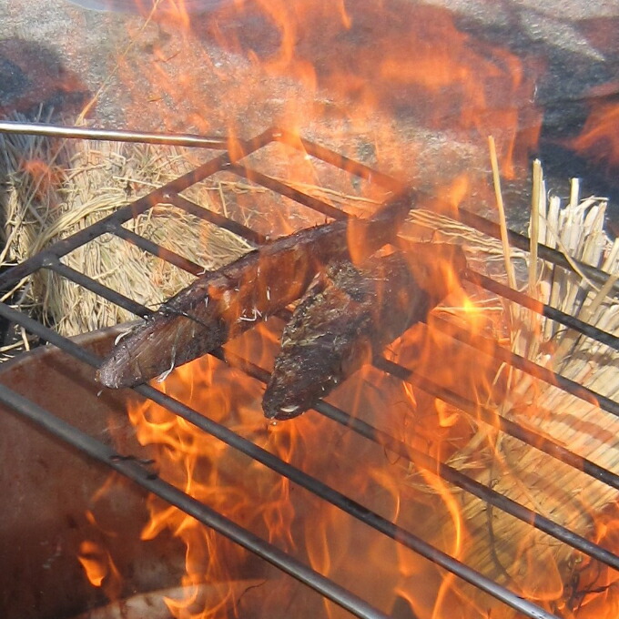 【ふるさと納税】 室戸流藁焼きたたきセット　７００～８５０ｇ 高知県 わら焼き かつお カツオ 鰹 タタキ 12000円 送料無料 iz041
