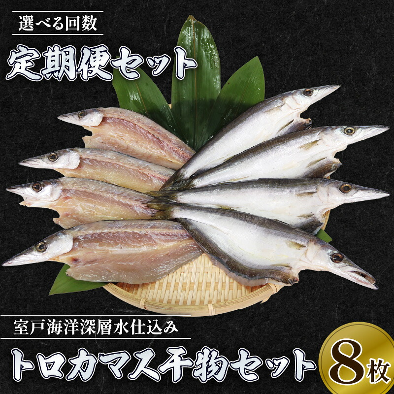 【ふるさと納税】 トロ カマス 干物 8枚 × 6回 定期便 頒布会 高知県 室戸 直送 国産 魚 室戸海洋深層水 仕込 干物 ひもの 冷凍便 焼魚 BBQ ギフト 贈答 送料無料