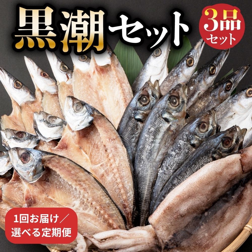 【ふるさと納税】干物 セット 黒潮セット 1回お届け or 定期便 合計6回 全12回 アジ 5枚 カマス 5枚 スルメイカ1枚 国産 室戸海洋深層水仕込み 海鮮 詰め合わせ グルメ ギフト 冷凍 バラエティ 頒布会 高知県 室戸市｜高知県室戸市