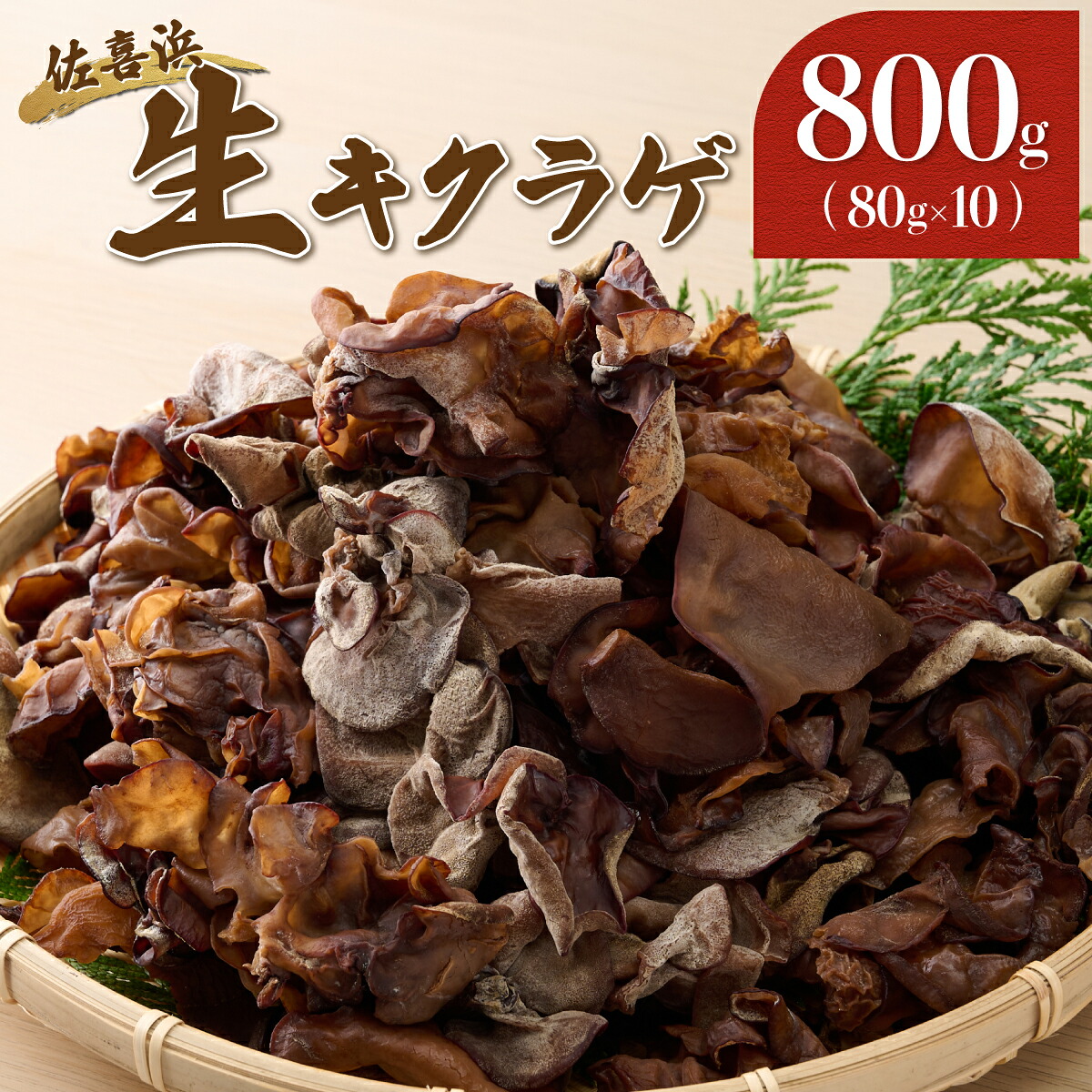 【ふるさと納税】 佐喜浜キクラゲ(生) 計800g きくらげ 木耳 80g×10袋詰め合わせセット 室戸海洋深層水 国産 野菜 きのこ キノコ 小分け セット 10000円 1万円 送料無料 nc005|高知県室戸市