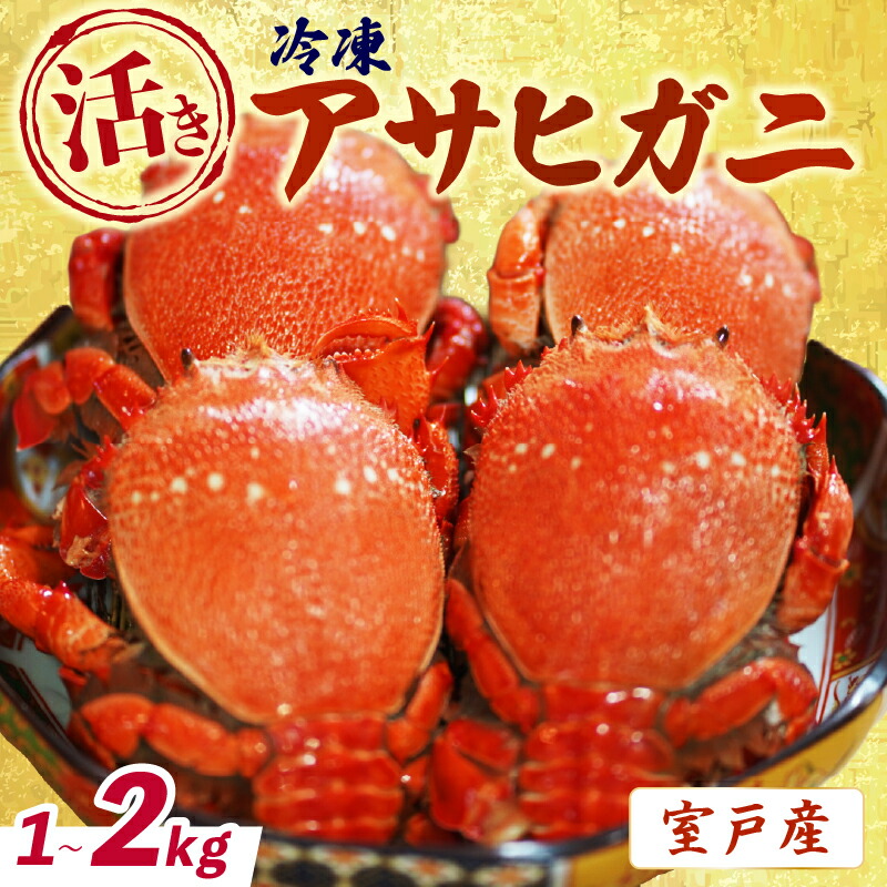 【ふるさと納税】 活 冷凍 アサヒガニ 1~2kg 朝日蟹 蟹 かに カニ ガニ がに 生 姿 冷凍 セット 詰め合わせ パスタ 味噌汁 焼ガニ 魚介類 海鮮 海の幸 産地直送 産直 旬 晩御飯 夕食 おかず 酒の肴 おつまみ 贅沢 自宅用 家庭用 お取り寄せ 美阿丸 高知県 室戸市|高知県室戸市