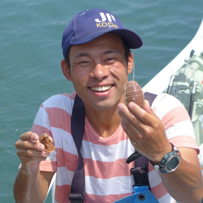 【ふるさと納税】 「深海王国」室戸からお届けする 活オオグソクムシ 3匹 生 食用 魚介類 海鮮 送料無料 ma004