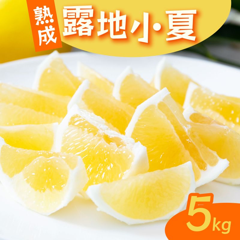 ふるさと納税 高知県 高知県産　不知火(しらぬい)　約3kg・8〜14玉[期間限定品] 糖度14.0以上 酸1.4以下⁄糖酸選別品 不知火 (しらぬひ) 3kg＜C20-15＞_