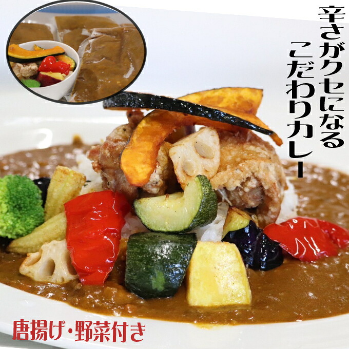 【ふるさと納税】 海土こだわり大人のカレー kd004