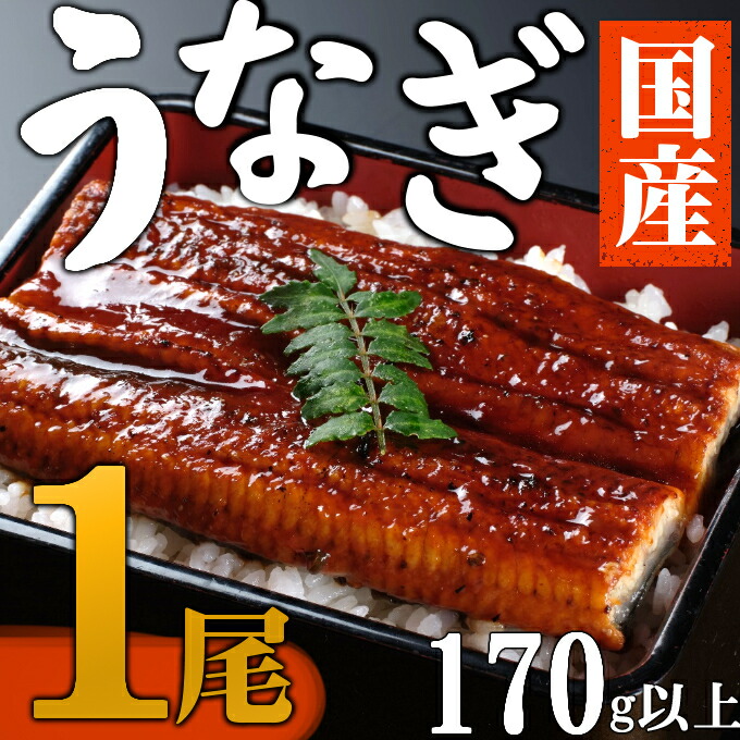 【ふるさと納税】 【数量限定】 海土のうなぎの蒲焼き　１尾 ウナギ 鰻 惣菜 冷凍 おかず 10000円 １万円 魚介 訳あり 送料無料 kd037｜高知県室戸市