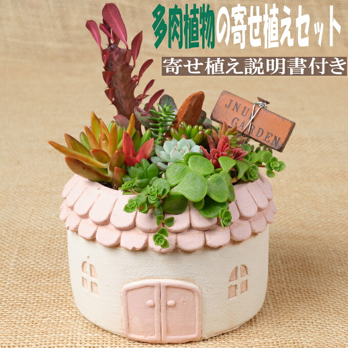 【ふるさと納税】 多肉植物の寄せ植えセット(メゾンラウンドポット)丸屋根(鉢色:ピンク、イエロー、グリーン、グレー)寄せ植え説明書付 キット 初心者 おすすめ 多肉植物 寄せ植え アソート sh013