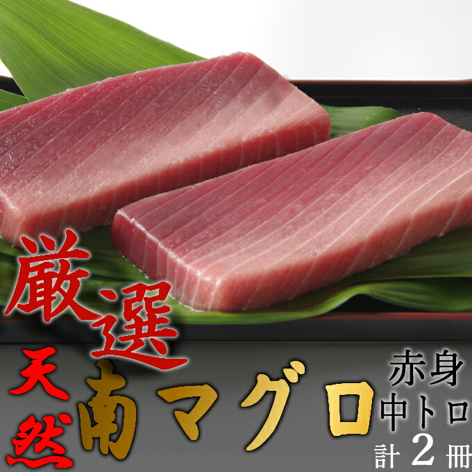 【ふるさと納税】 【中トロ】 【赤身】 天然南マグロ　中トロ１冊　赤身１柵 刺身 漬け丼 海鮮丼 マグロ丼 ちらし寿司 ネギトロ丼 魚介 惣菜 冷凍 送料無料 eb008