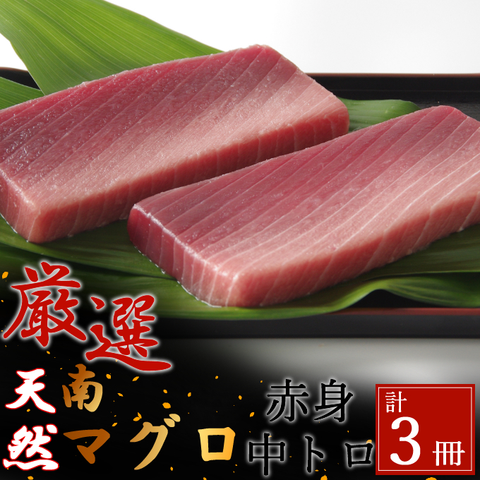 【ふるさと納税】 【中トロ】 【赤身】 天然南マグロ 中トロ2冊 赤身1柵 刺身 漬け丼 海鮮丼 マグロ丼 ちらし寿司 ネギトロ丼 魚介 惣菜 冷凍 送料無料 eb009|高知県室戸市