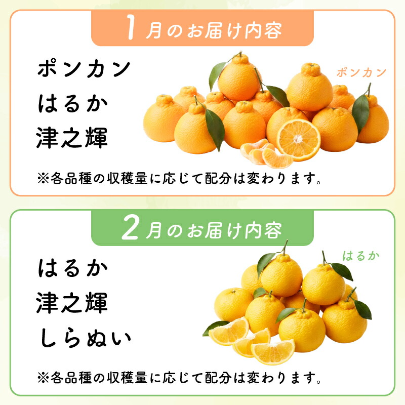 【旬の柑橘詰め合わせ2.5kg】訳あり訳アリわけあり柑橘詰め合わせ食べ比べミカンみかん蜜柑ポンカンぽんかんせとかデコポン不知火しらぬいなつみ小夏フルーツくだもの果物青果産直旬期間限定家庭用西山台地のフルーツ園高知県室戸市