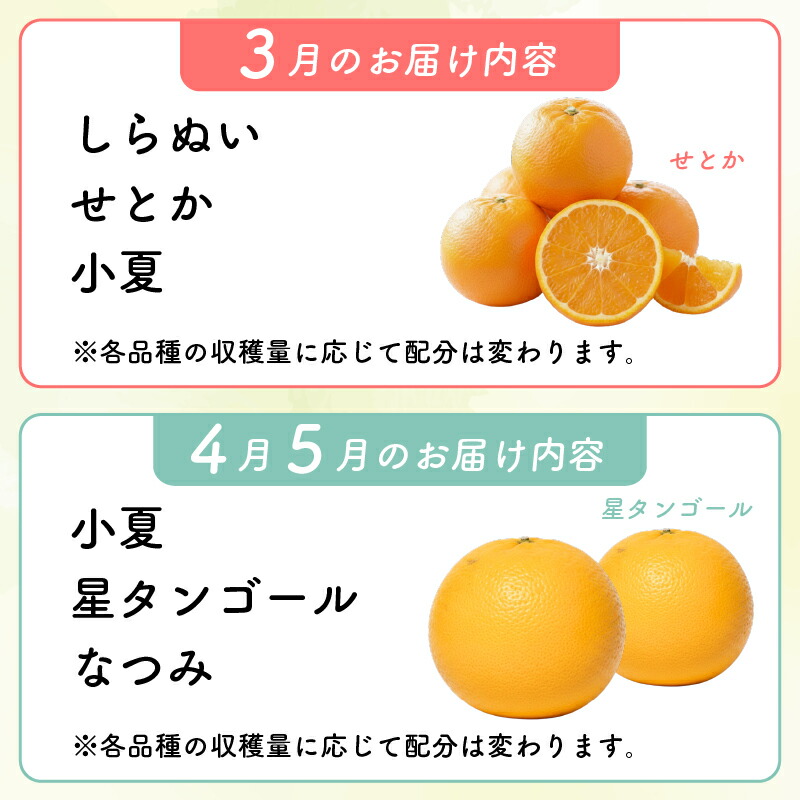 【旬の柑橘詰め合わせ2.5kg】訳あり訳アリわけあり柑橘詰め合わせ食べ比べミカンみかん蜜柑ポンカンぽんかんせとかデコポン不知火しらぬいなつみ小夏フルーツくだもの果物青果産直旬期間限定家庭用西山台地のフルーツ園高知県室戸市
