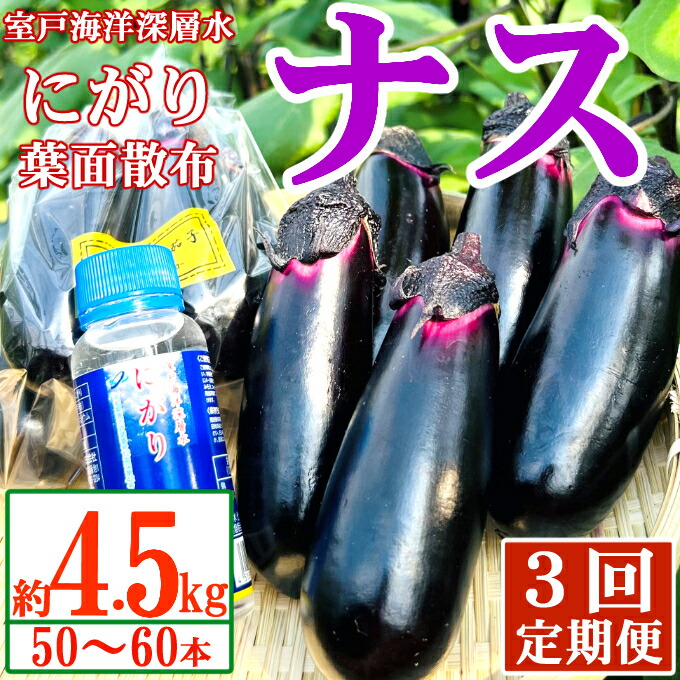 【ふるさと納税】 【定期便3回発送】 農家直送　土佐の美味茄子の新鮮ナス　４．５kg　（室戸海洋深層水にがり使用） 野菜 なす ナス 常温 小袋 国産 夏野菜 茄子 小分け 旬 高知 bn012