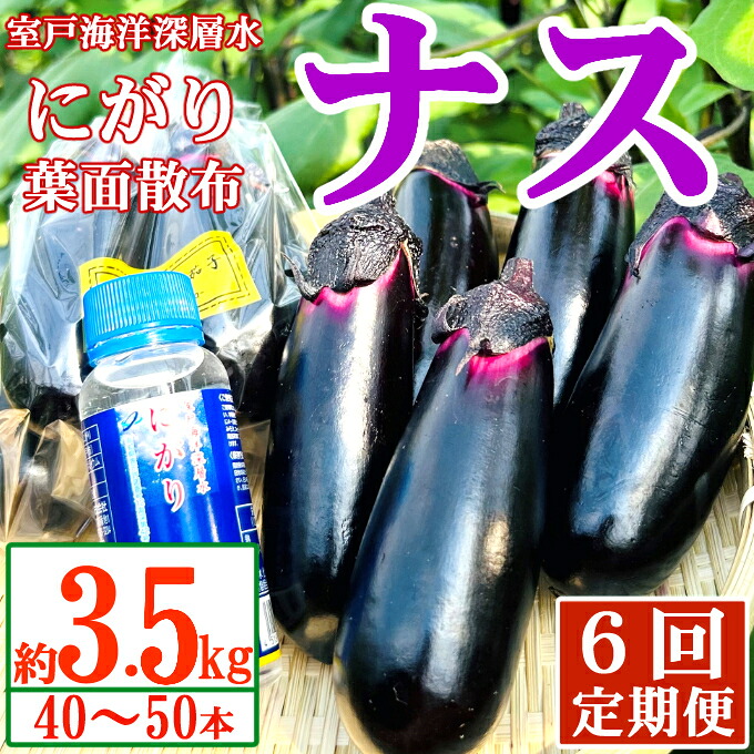 【ふるさと納税】 【定期便6回発送】 農家直送　土佐の美味茄子の新鮮ナス　３．５kg（室戸海洋深層水にがり使用） 野菜 なす ナス 常温 小袋 国産 夏野菜 茄子 小分け 旬 高知 bn016