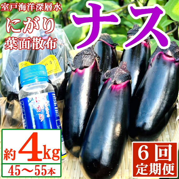 【ふるさと納税】 【定期便6回発送】 農家直送　土佐の美味茄子の新鮮ナス　４kg　（室戸海洋深層水にがり使用） 野菜 なす ナス 常温 小袋 国産 夏野菜 茄子 小分け 旬 高知 bn017