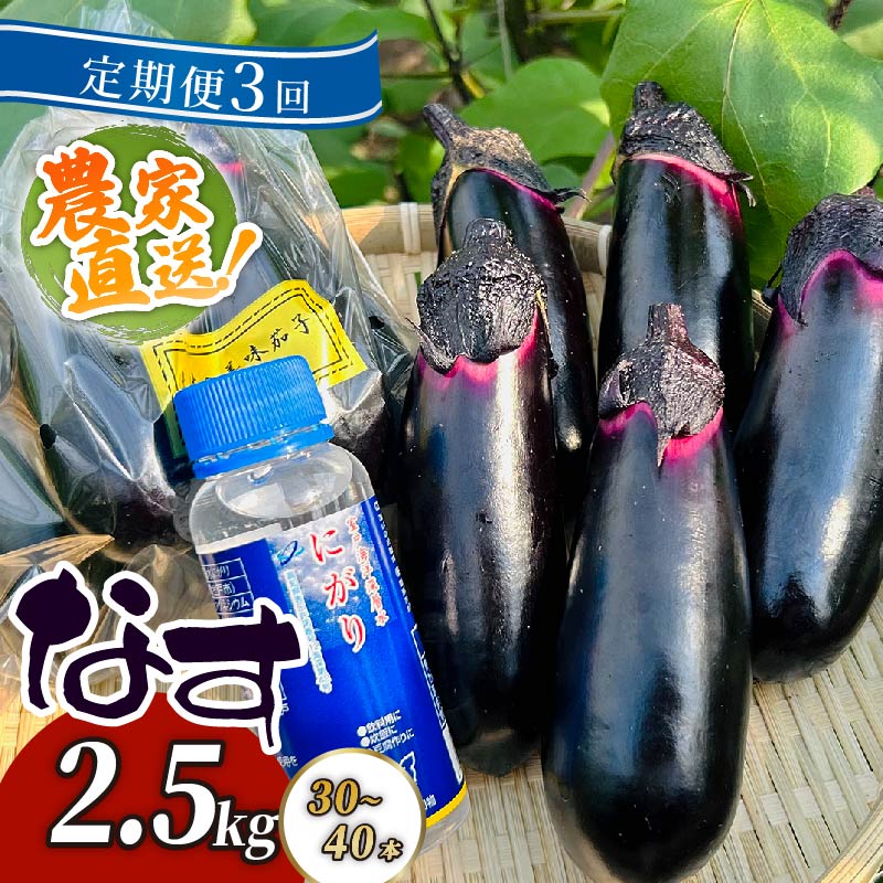 【ふるさと納税】 【定期便3回発送】 農家直送　土佐の美味茄子の新鮮ナス　２．５kg　（室戸海洋深層水にがり使用） 野菜 なす ナス 常温 小袋 国産 夏野菜 茄子 小分け 旬 高知 bn008
