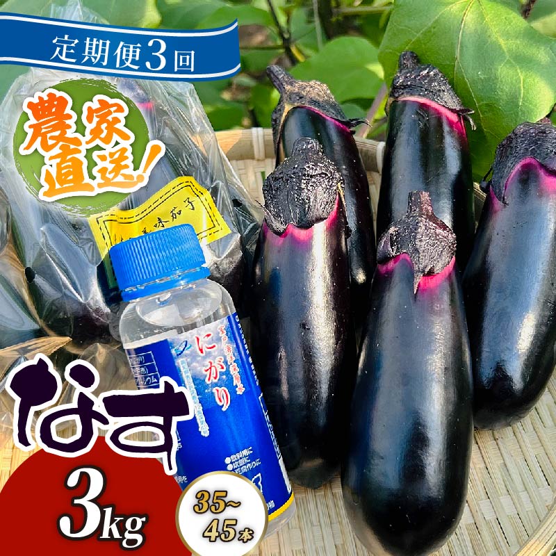 【ふるさと納税】 【定期便3回発送】 農家直送　土佐の美味茄子の新鮮ナス　３kg　（室戸海洋深層水にがり使用） 野菜 なす ナス 常温 小袋 国産 夏野菜 茄子 小分け 旬 高知 bn009