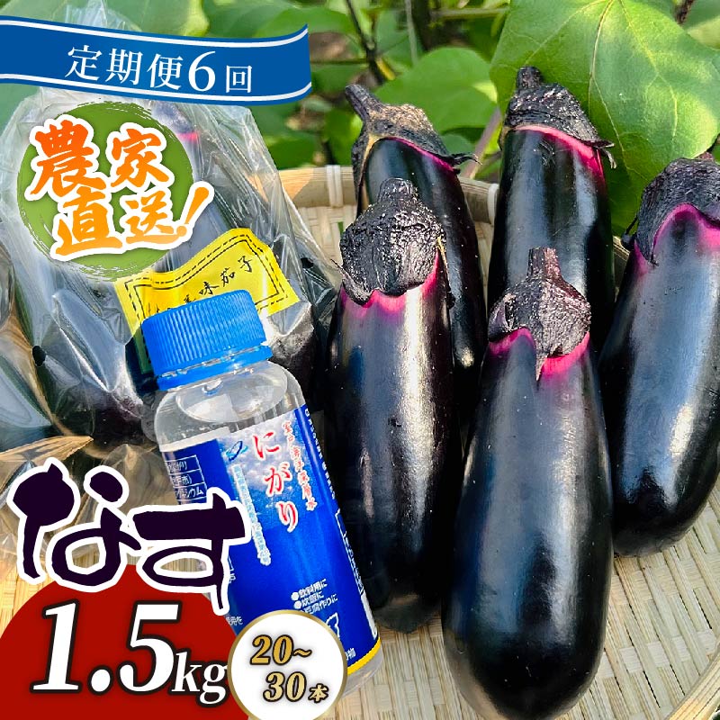 【ふるさと納税】 【定期便6回発送】 農家直送　土佐の美味茄子の新鮮ナス　1.5kg　（室戸海洋深層水にがり使用） 野菜 なす ナス 常温 小袋 国産 夏野菜 茄子 小分け 旬 高知 bn021 21,600円