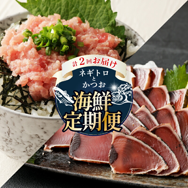 【ふるさと納税】 【 全2回定期便 】ネギトロ と カツオ の 定期便 海鮮 鮪 鰹 定期 セット まぐろ カツオのたたき ネギトロ 中トロ 刺身 海鮮 鰹 冷凍 魚 海産物 魚介類 高知県 まぐろたたき 鮪 藁焼き わら焼き タカシン定期便 海鮮定期便 頒布会