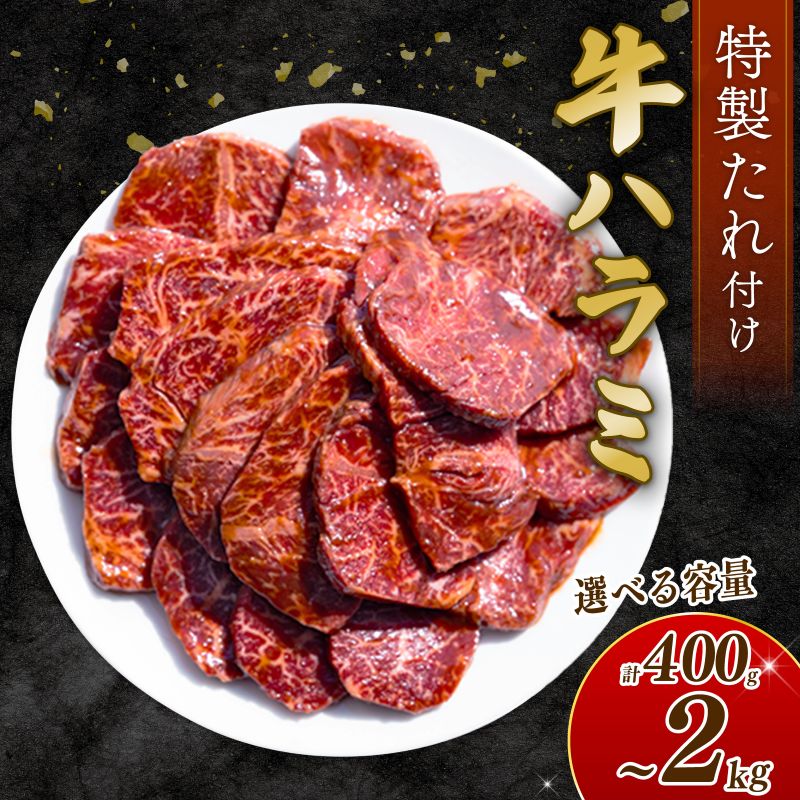 【ふるさと納税】 【選べる内容量】 牛ハラミ たれ漬け 約400g～2kg 訳あり 数量限定 牛肉 焼肉 焼き肉 BBQ バーベキュー ハラミ肉 タレ漬けハラミ 小分け 【(有)山重食肉】（室戸海洋深層水塩使用）