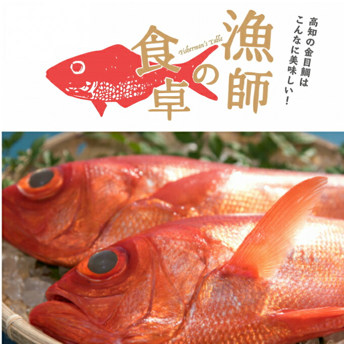 魚介類 魚 ｒｙ００２ 高知県室戸市 鮮度抜群の金目鯛をお届けします 超希少 魚介類 送料無料 送料無料 特大高級金目鯛１尾 魚 鮮魚 ふるさと納税