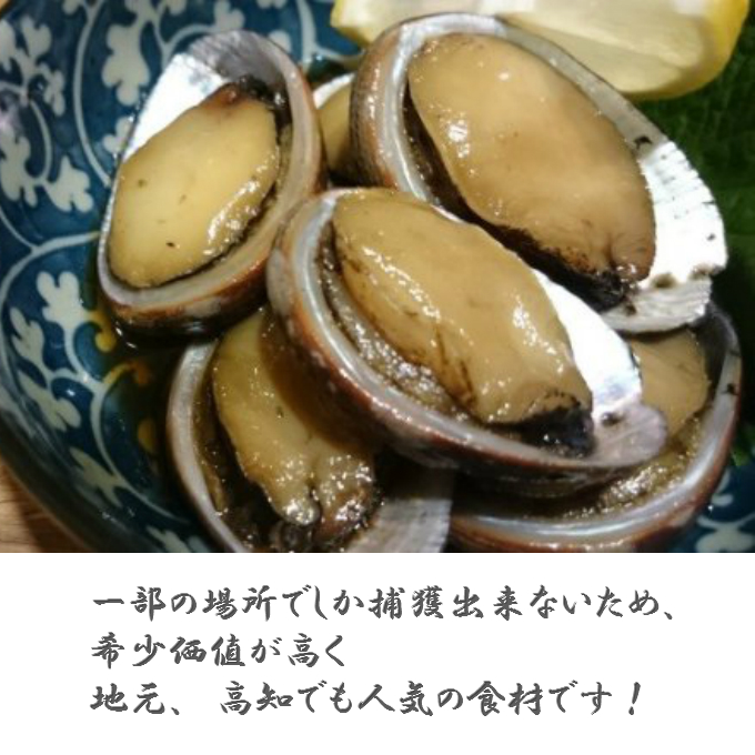 送料無料 貝 ｒｙ０３２ 食品 高級食材とこぶし 流れ子 の煮付け魚介類 魚介類 水産加工品 とこぶし ｒｙ０３２ 高知県室戸市希少価値がとても高い室戸のトコブシ 貝類 最高の品質の ふるさと納税 Coachycom Es