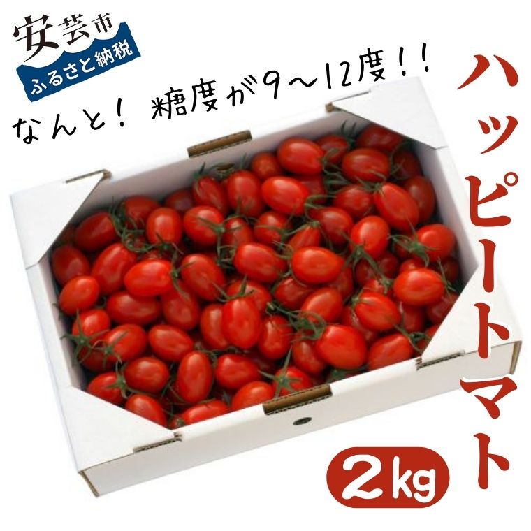 【ふるさと納税】＜先行受付開始＞ハッピートマト2kg