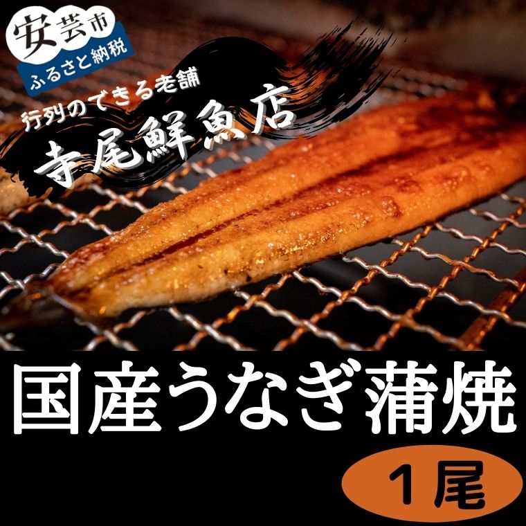 うなぎ蒲焼 国産 1尾 冷凍 タレ付き