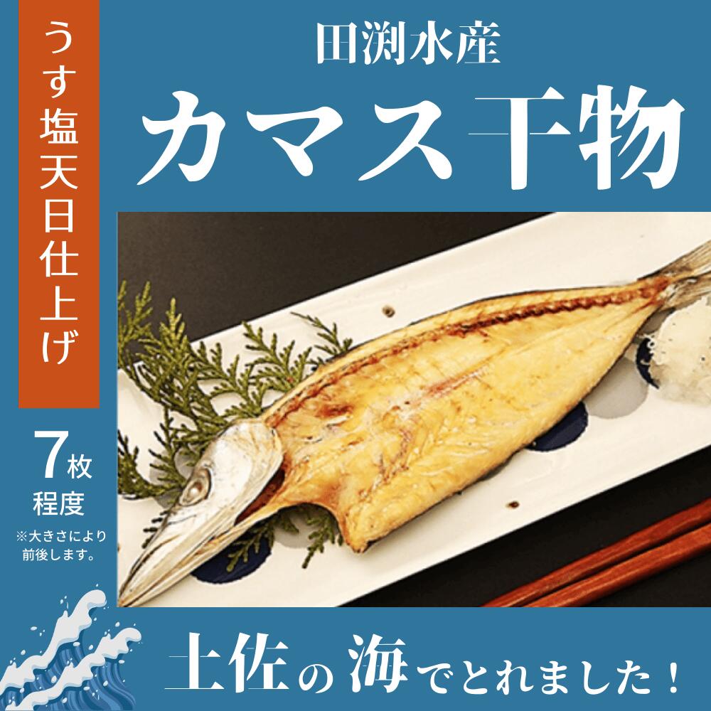 新品同様 カマスのひらき 田渕水産の干物 魚介類 水産加工品