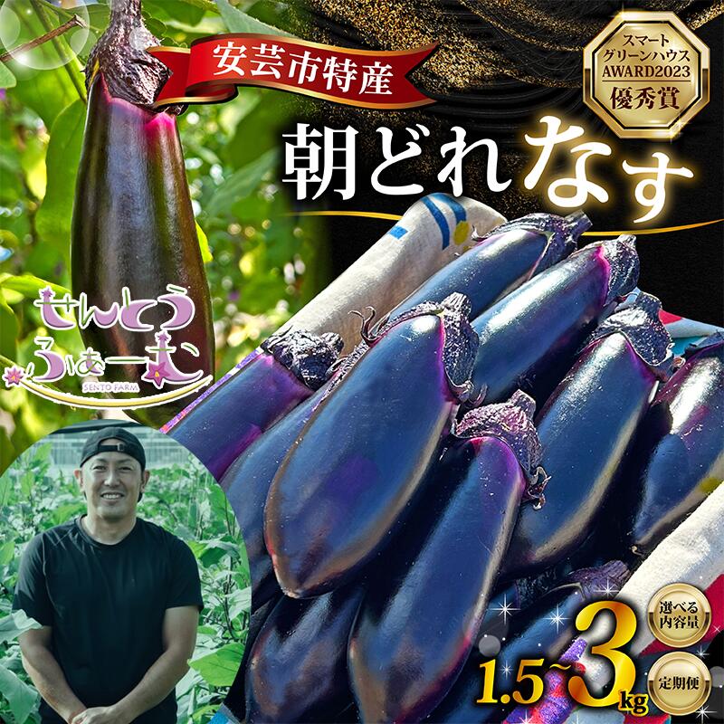 【ふるさと納税】 【10/1より価格改定予定】 朝採れ ナス 選べる 1.5kg or 3kg 農家直送 新鮮 茄子 なす ナスビ 薄皮 漬物 味噌汁 カレー 中華料理 野菜 夏野菜 ベジタブル 農産物 旬 季節 食材 料理 レシピ 健康 ビタミン ミネラル 栄養 食物繊維 安芸市 高知県|高知県安芸市