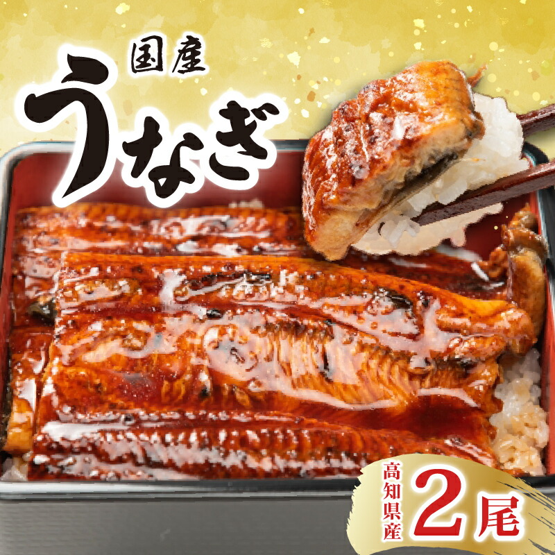 【ふるさと納税】 厳選！！高知県産うなぎ（2尾）　特製たれで味わう　四万十川など清流が多い高知県産のウナギ　国産　地域で人気の有名店　送料無料