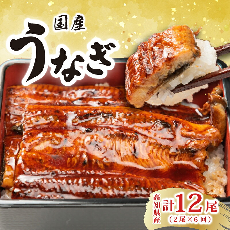 【ふるさと納税】 厳選 高知県産 うなぎ 蒲焼き 2尾 6回定期便 特製たれ 国産 ウナギ 鰻 土用丑の日 スタミナ食 夏バテ対策 贈り物 グルメ ギフト 冷凍 真空パック 地域 人気 有名店 安芸市 高知県 80,300円