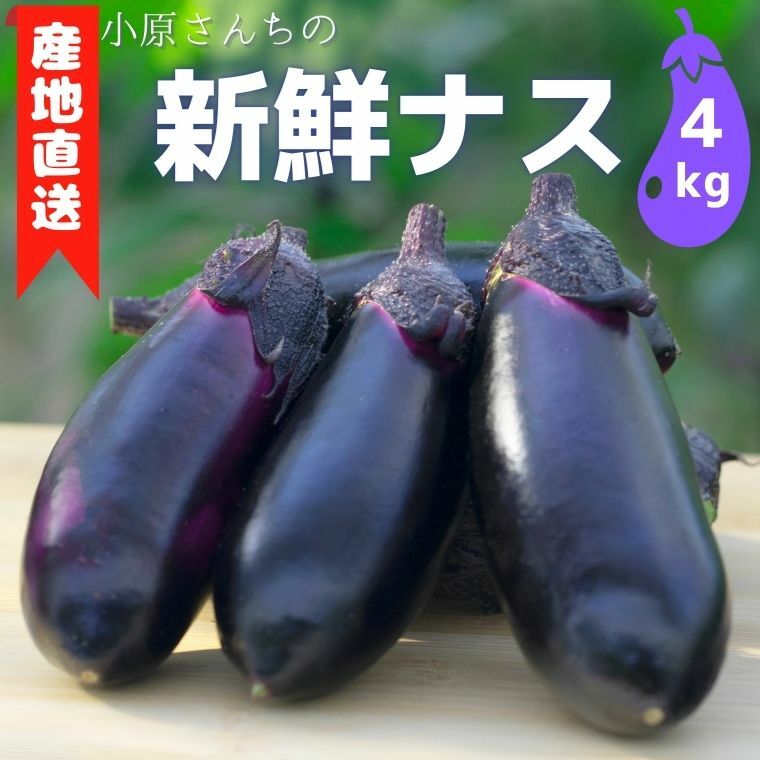 【ふるさと納税】 小原さんちの産地直送！新鮮ナス 4kg 13,260円