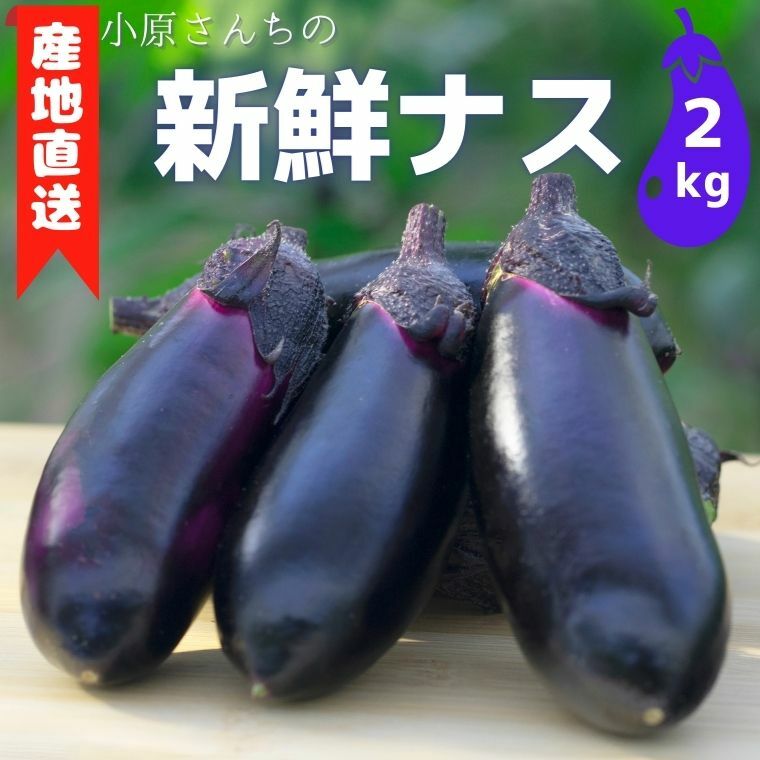 【ふるさと納税】 小原さんちの産地直送！新鮮ナス 2kg