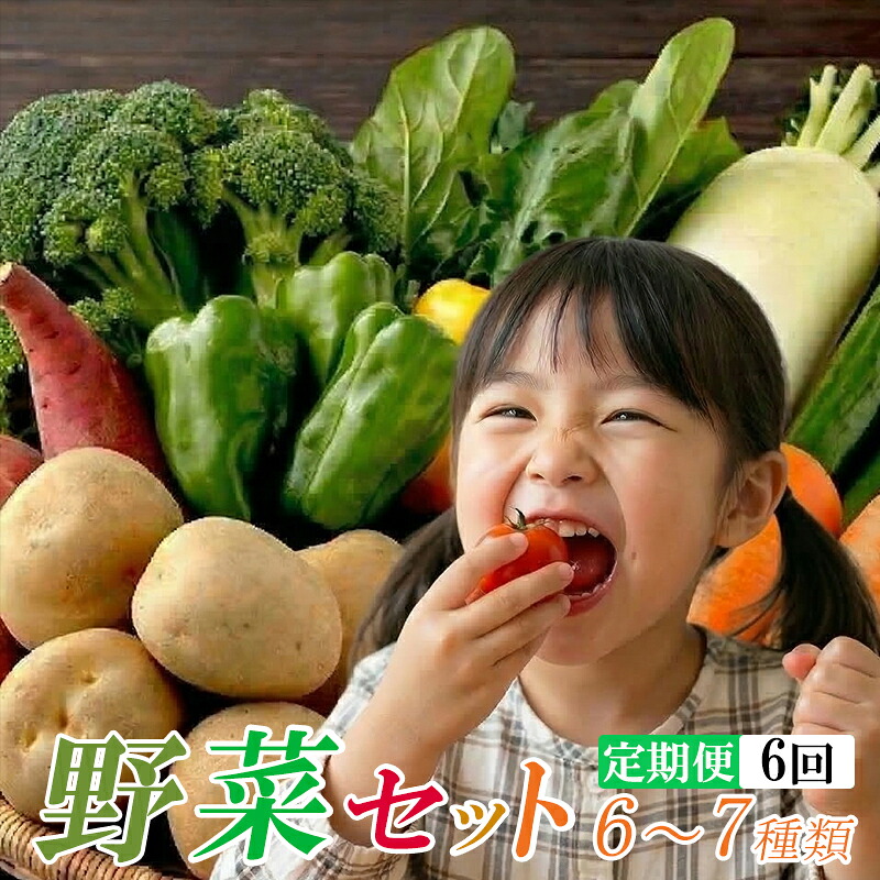 【ふるさと納税】 定期便6回「安芸ブランド」新鮮お野菜詰め合わせセット 6~7種類 高知県安芸市 安芸駅ぢばさん市場 新鮮野菜 季節の果物 6~7種類程度 野菜 果物 詰め合わせ 採れたて 旬の野菜セット 健康 栄養