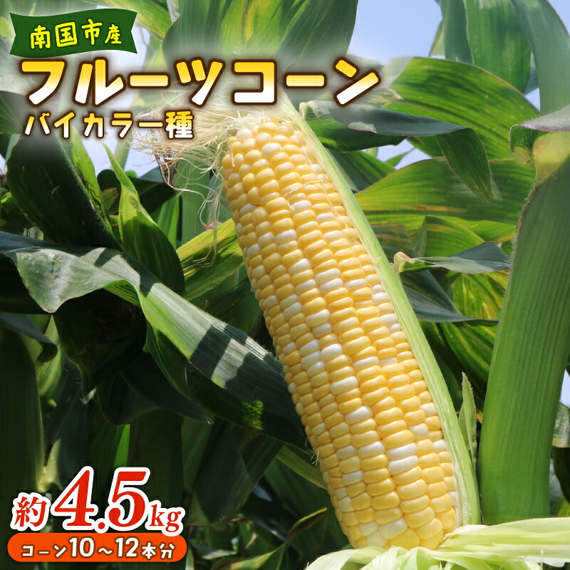 【ふるさと納税】 先行予約 とうもろこし スイートコーン バイカラー種 約 4.5kg 10～12本 2026年5月～6月発送予定 期間限定 数量限定 産地直送トウモロコシ フルーツコーン スイート コーン 国産 詰合せ 甘い 人気 ギフト 贈答 プレゼント 高知県 南国市 農園けんぴ