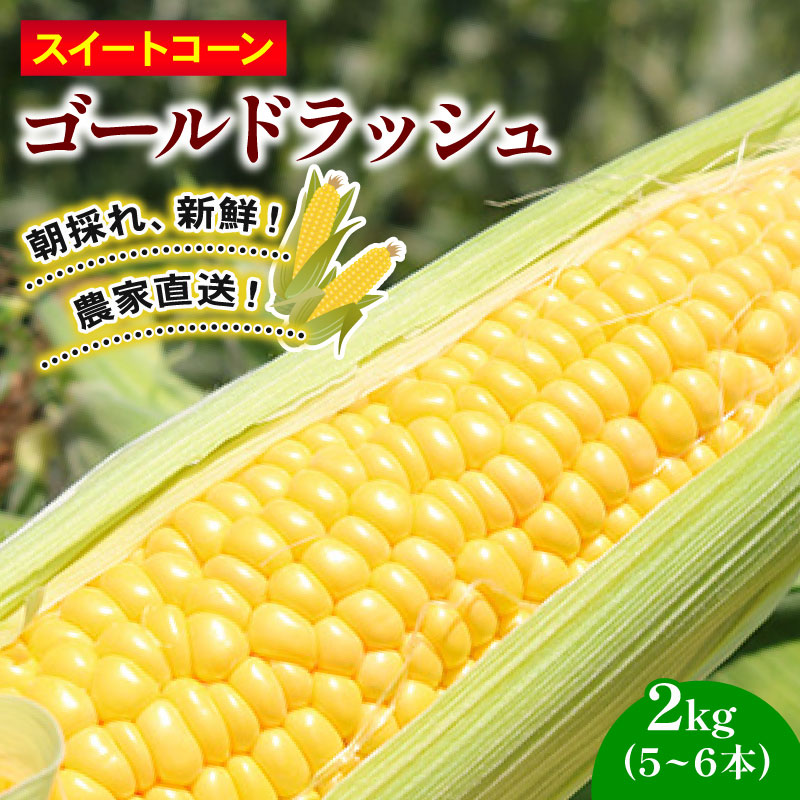 【ふるさと納税】 訳あり スイートコーン ゴールドラッシュ 2kg 5-6本 2026年発送 6月 贈答用 ギフト用にも スイート コーン 野菜 トウモロコシ とうもろこし 厳選 人気 夏 やさい 旬 甘い 先行予約 産地直送 数量限定 冷蔵 期間限定 季節限定 おすすめ 高知県 南国市 4,100円