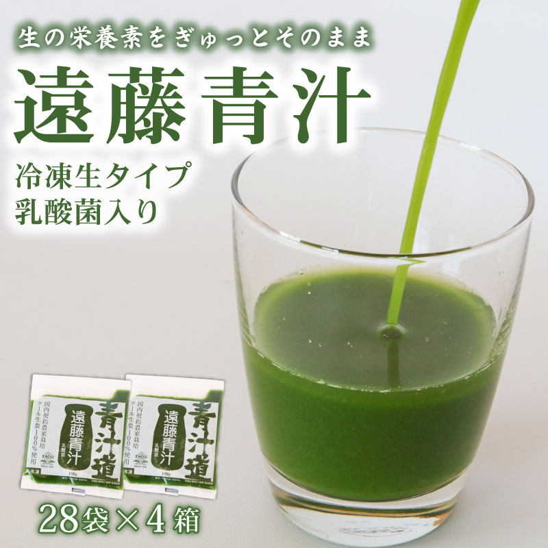 【ふるさと納税】 遠藤青汁 生 冷凍 4箱 11.2kg 100g × 112袋 健康 美容 乳酸菌 国産 ケール ビタミン ミネラル 食物繊維 冷凍 ロングセラー お試し青汁 遠藤青汁 新鮮 こだわり 高知県 南国市