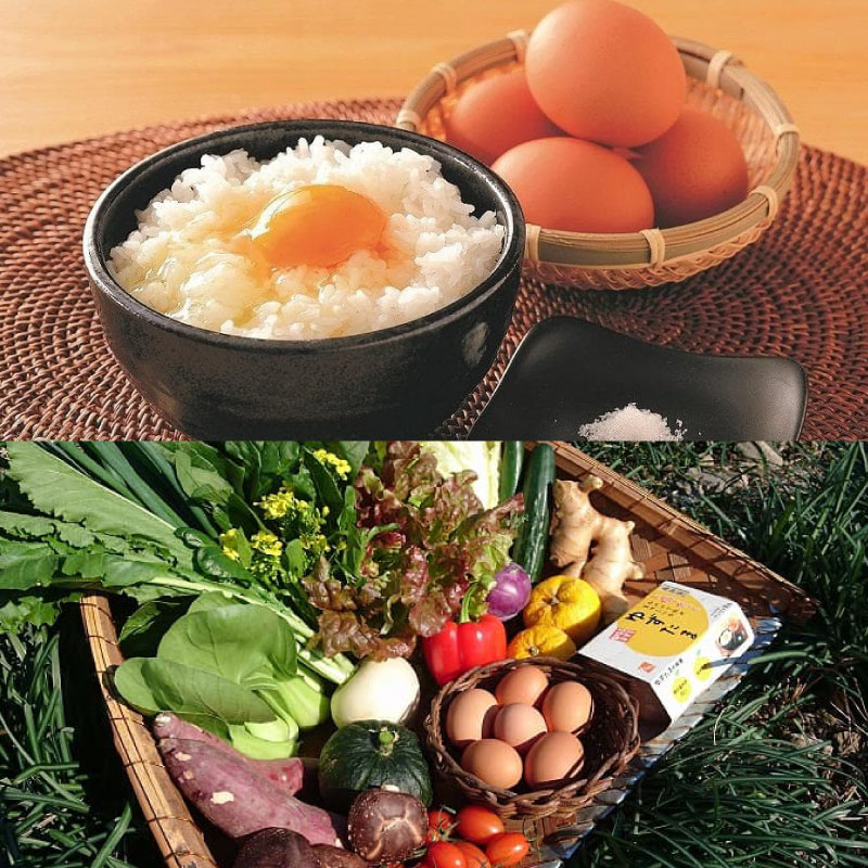 【ふるさと納税】 【野菜定期便全4回お届けコース】高知県産　南国土佐の季節野菜と卵（ゆずたま）の詰め合わせセット【新鮮野菜セット卵付き】 | セット 詰め合わせ 旬 たまご 卵 柚子 送料無料 人気 高知県 南国市