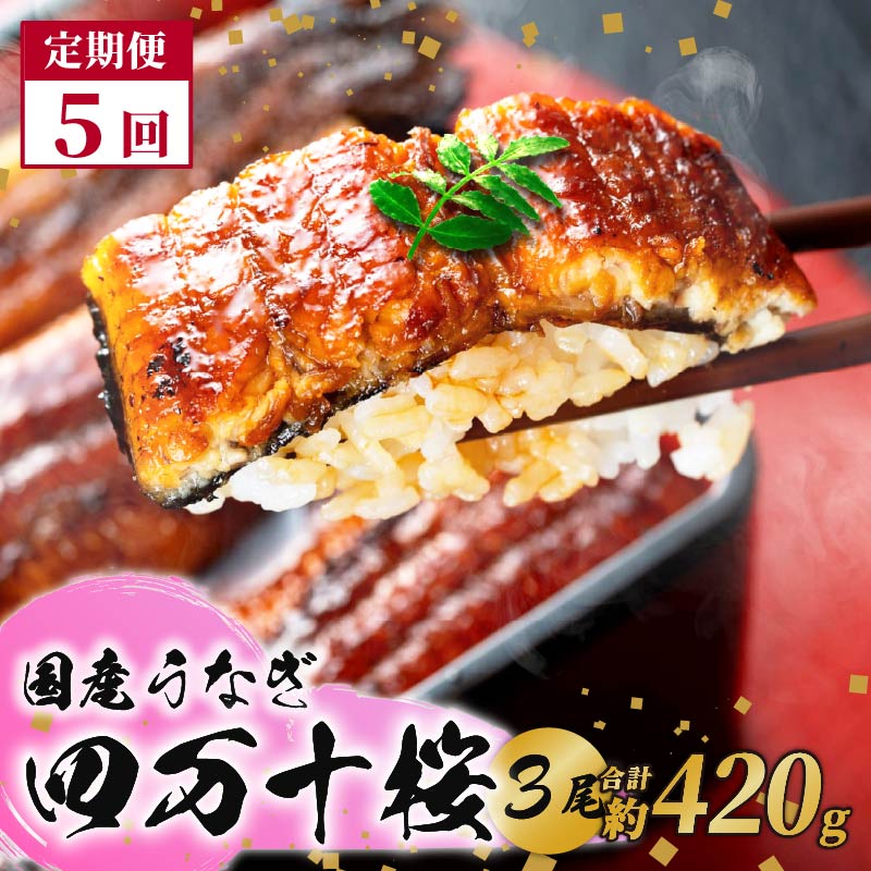 【ふるさと納税】 国産 うなぎ 蒲焼き 約140g×3尾 5回 定期便 鰻 四万十桜 蒲焼 極上 完全無投薬 調理済み タレ 山椒 土用の 丑の日 お歳暮 お正月 高級 お取り寄せ こだわり ギフト プレゼント 贈答 贈り物 冷凍 高知県 南国市