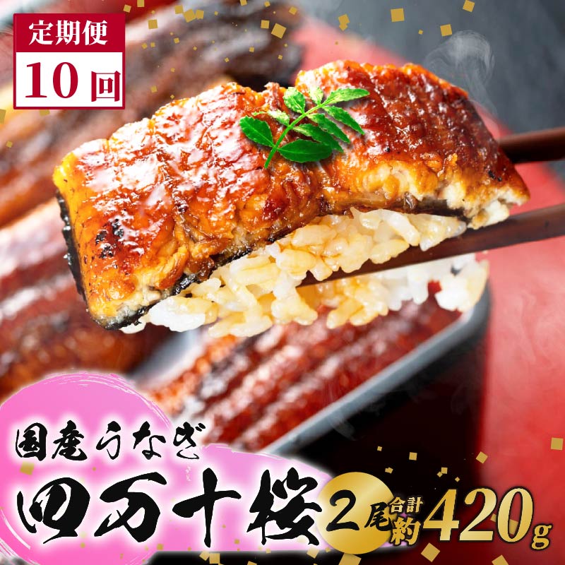 【ふるさと納税】 国産 うなぎ 蒲焼き 約210g×2尾 10回 定期便 特大 鰻 四万十桜 蒲焼 極上 完全無投薬 調理済み タレ 山椒 土用の 丑の日 お歳暮 お正月 高級 お取り寄せ こだわり ギフト プレゼント 贈答 贈り物 冷凍 高知県 南国市|高知県南国市