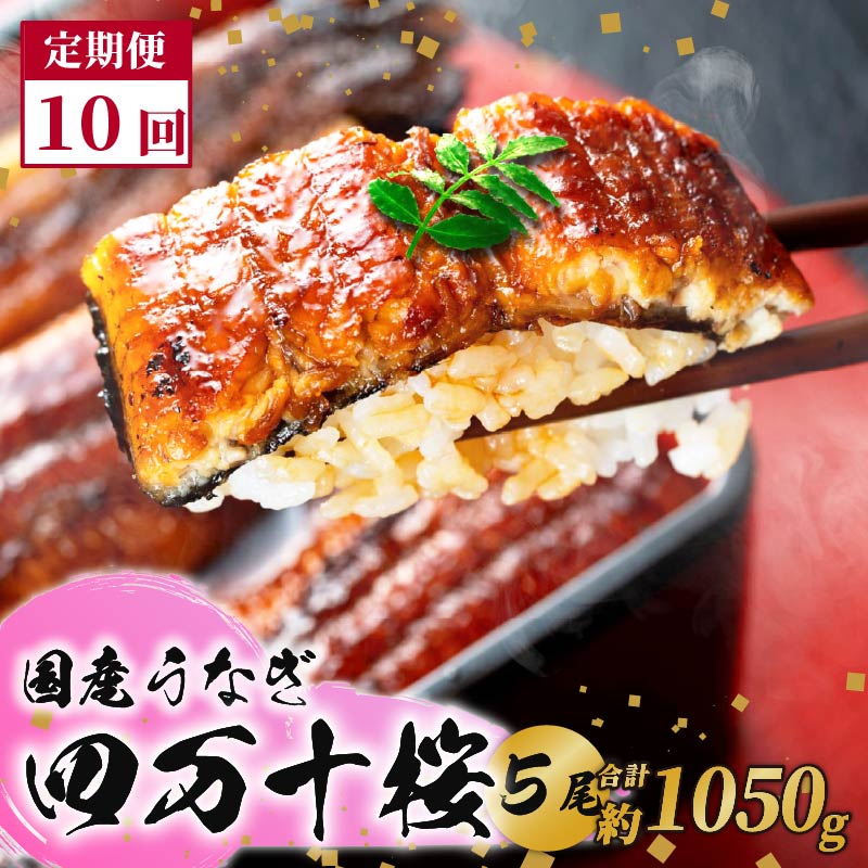 【ふるさと納税】 通常用 10回定期便 極上国産うなぎ四万十桜 蒲焼き約210g×5尾 特大 うなぎ 鰻 蒲焼き 定期便 国産 四万十鰻 白焼き 調理済み タレ付き 頒布会 ギフト お歳暮 お正月 高級 お取り寄せ グルメ 食べ比べ 冷凍