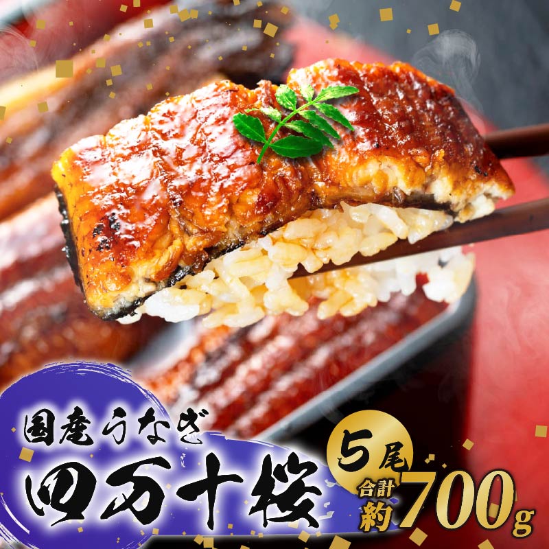 【ふるさと納税】 国産 うなぎ 蒲焼き 約140g×5尾 鰻 四万十桜 蒲焼 極上 完全無投薬 調理済み タレ 山椒 土用の 丑の日 お歳暮 お正月 高級 お取り寄せ こだわり ギフト プレゼント 贈答 贈り物 冷凍 高知県 南国市