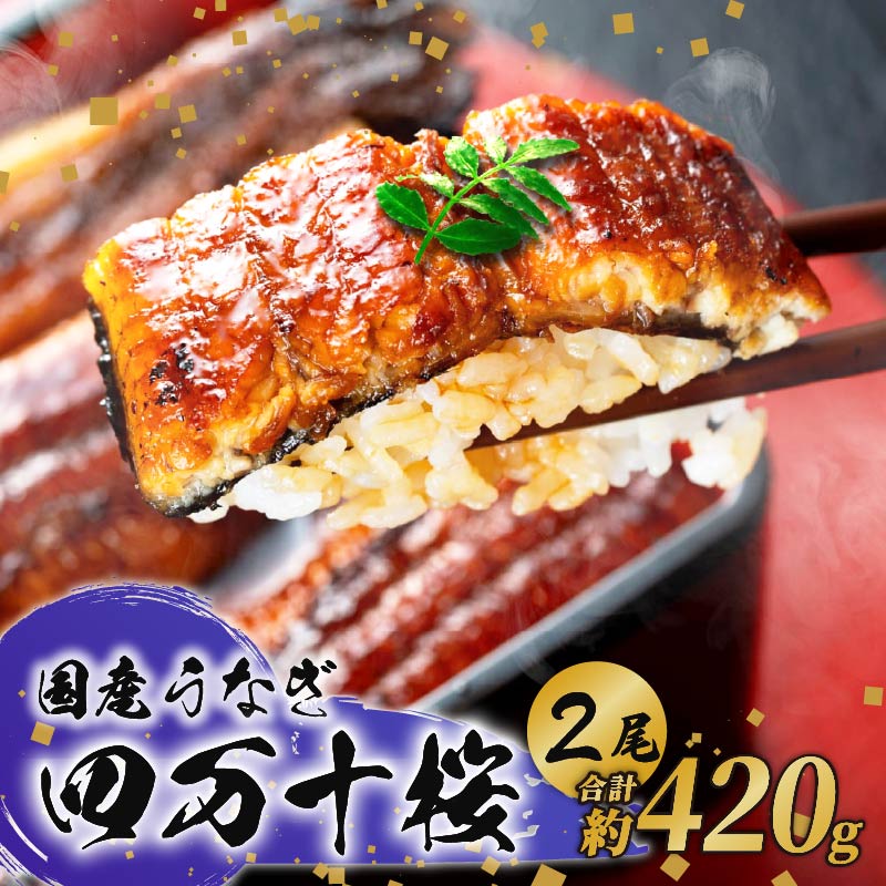 【ふるさと納税】 国産 うなぎ 蒲焼き 約210g×2尾 贈答用 特大 鰻 四万十桜 蒲焼 極上 完全無投薬 調理済み タレ 山椒 土用の 丑の日 お歳暮 お正月 高級 お取り寄せ こだわり ギフト プレゼント 贈答 贈り物 冷凍 高知県 南国市