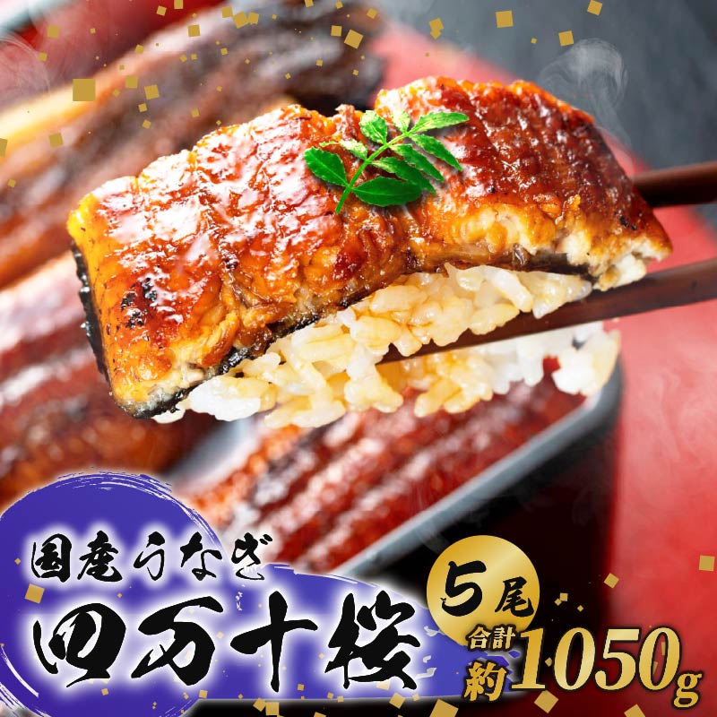 【ふるさと納税】 国産 うなぎ 蒲焼き 約210g&times;5尾 特大 鰻 四万十桜 蒲焼 極上 完全無投薬 調理済み タレ 山椒 土用の丑 土用の丑の日 丑の日 お歳暮 お正月 高級 お取り寄せ こだわり ギフト プレゼント 贈答 贈り物 冷凍 高知県 南国市｜高知県南国市