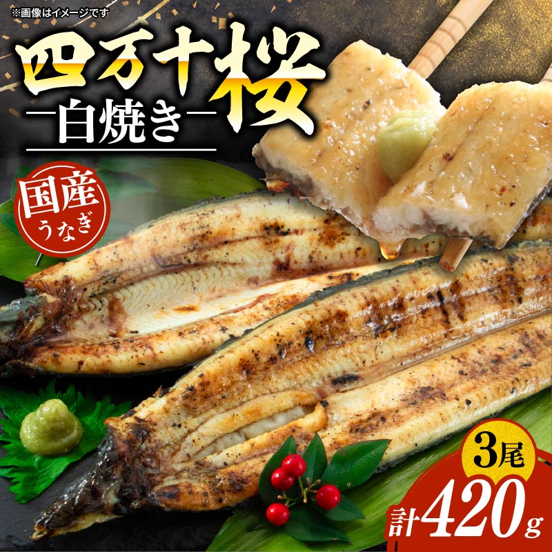 【ふるさと納税】 国産 うなぎ 白焼き 約140g×3尾 鰻 四万十桜 白焼 極上 完全無投薬 調理済み タレ 山椒 土用の 丑の日 お歳暮 お正月 高級 お取り寄せ こだわり ギフト プレゼント 贈答 贈り物 冷凍 高知県 南国市