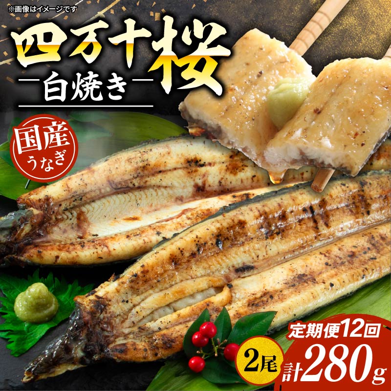 【ふるさと納税】 贈答用 12回定期便 極上国産うなぎ四万十桜 白焼き約140g×2尾 うなぎ 鰻 ウナギ 白焼き 定期便 国産 四万十鰻 ウナギ 蒲焼き 調理済み タレ付き 頒布会 ギフト お歳暮 お正月 高級 お取り寄せ グルメ 食べ比べ 冷凍画像