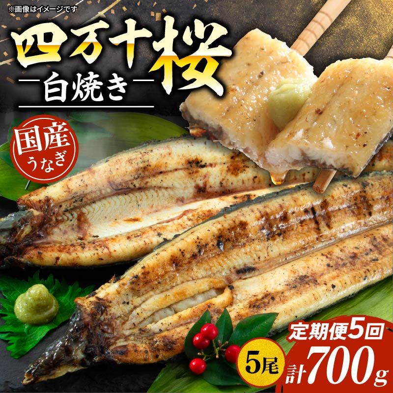 【ふるさと納税】 通常用 5回定期便 極上国産うなぎ四万十桜 蒲焼き約140g×5尾 うなぎ 鰻 ウナギ 白焼き 定期便 国産 四万十鰻 蒲焼き 調理済み タレ付き 頒布会 ギフト お歳暮 お正月 高級 お取り寄せ グルメ 食べ比べ 冷凍