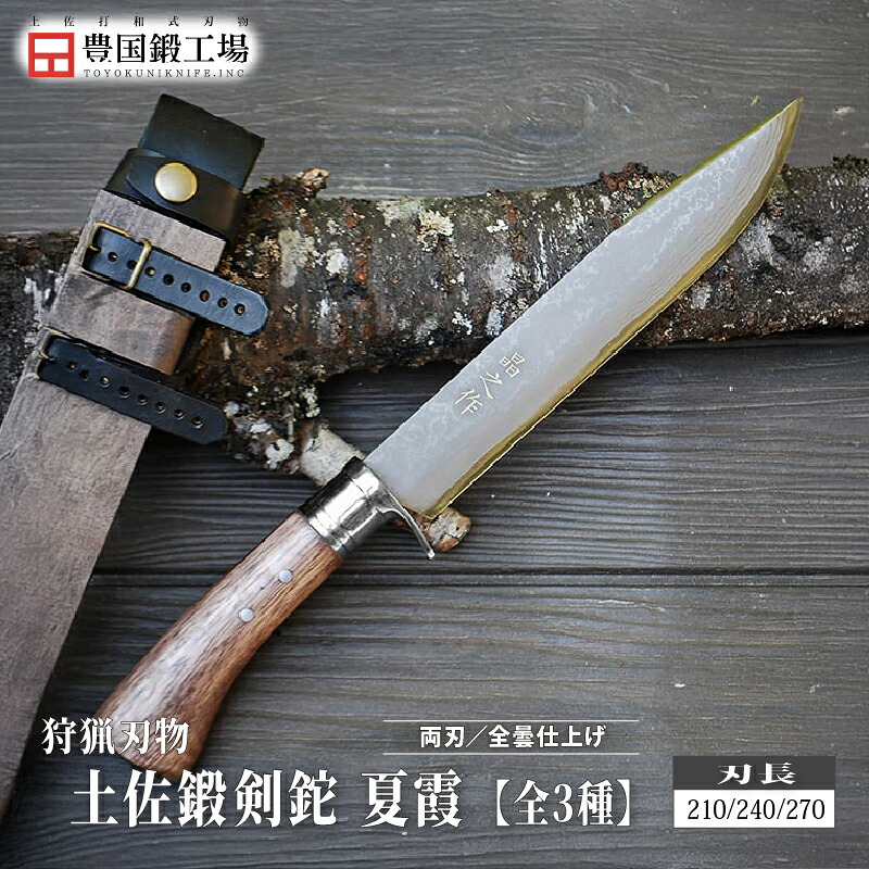 南国市 フルーツ 特集
