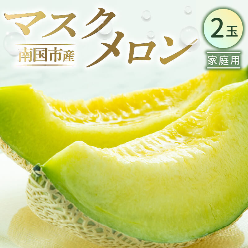 【ふるさと納税】 高知県 南国市産／ご家庭用マスクメロン（2個） | メロン マスクメロン フルーツ 果物 くだもの 食品 デザート 家庭用 高評価 厳選 高級 贈り物 人気 おすすめ 送料無料